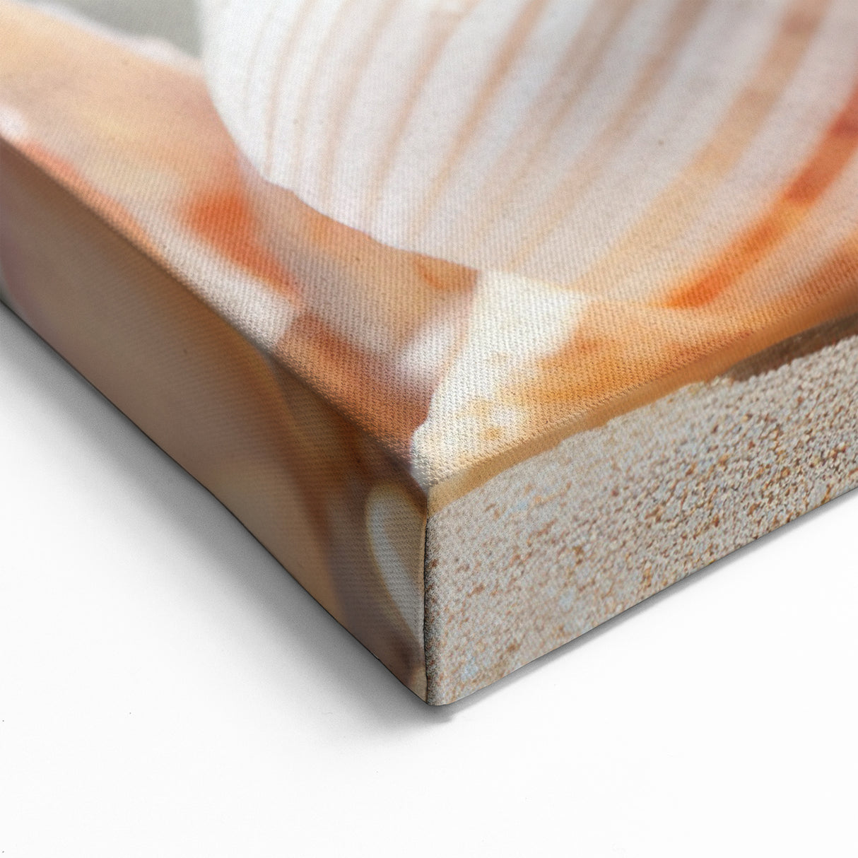 Seashell Collection Beach Art - Coastal Wall Decor for Relaxing Vibes