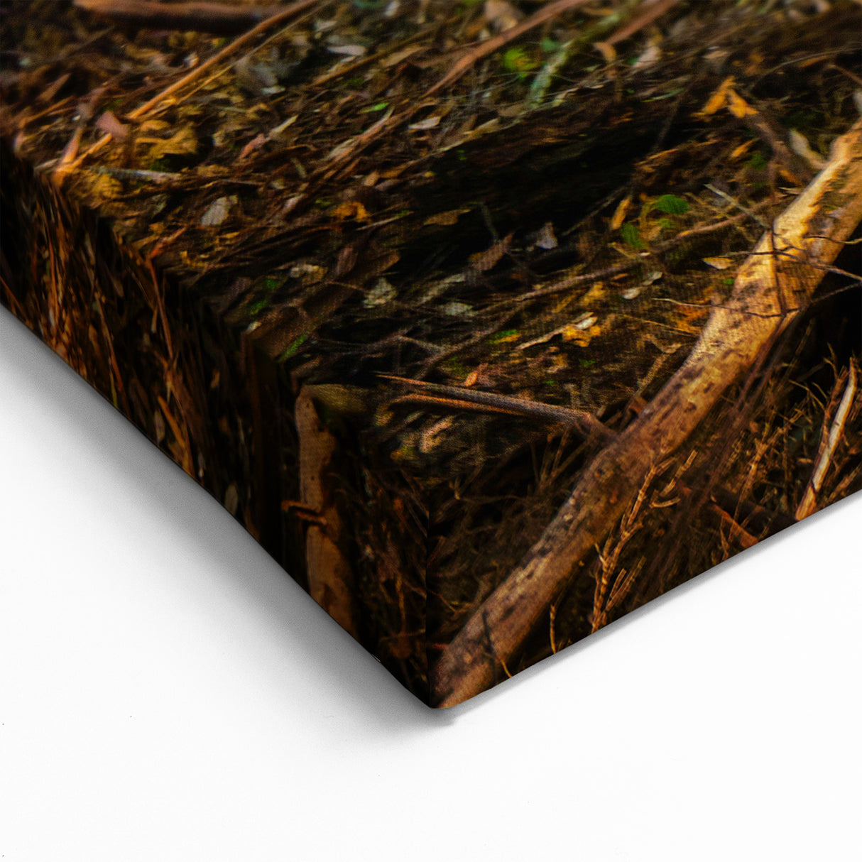Serene Rainforest Pathway Wall Art - Tranquil Jungle Canvas Print