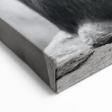 Intimate Chimpanzee Moment - Primate Wildlife Canvas Art Decor