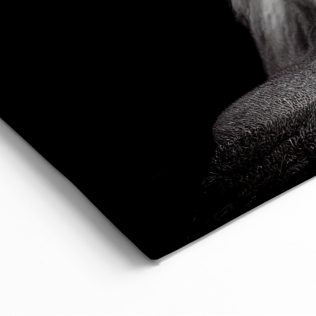 Gorilla Profile Art - Black and White Primate Canvas Wall Decor