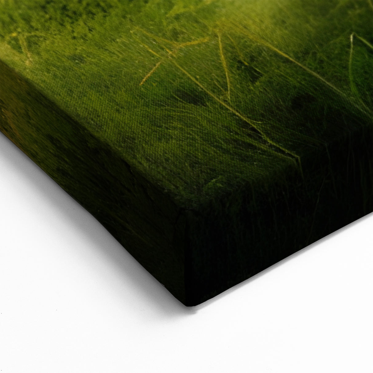 Path Through Lush Marshland - Scenic Swamp and Marsh Canvas Prints