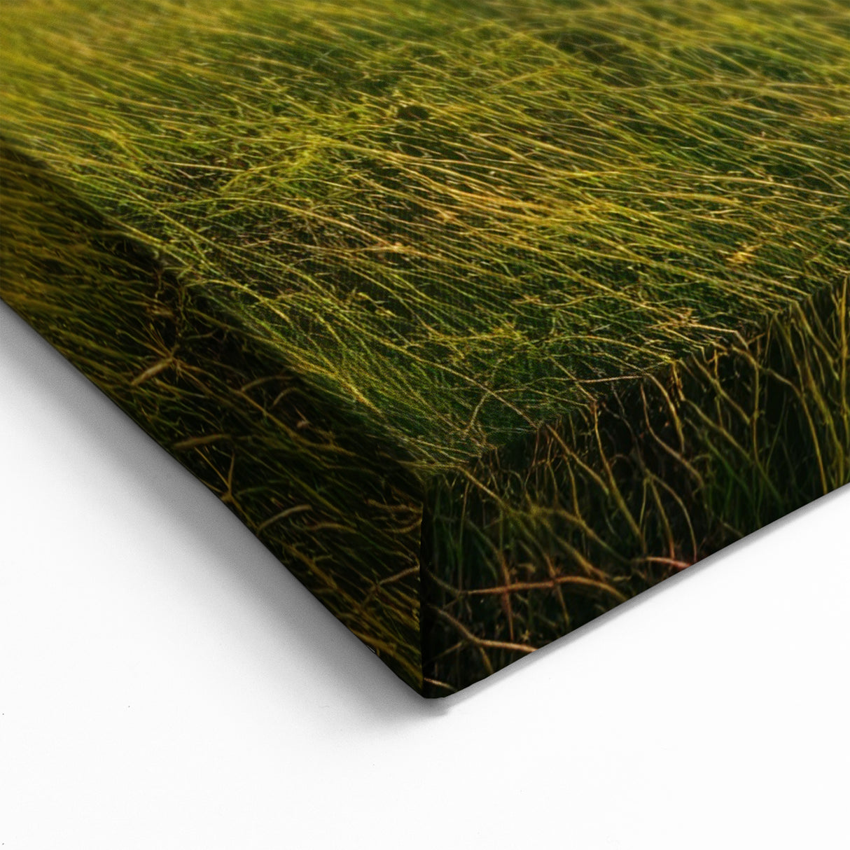 Winding River Through Marshland - Scenic Swamp and Marsh Canvas Prints