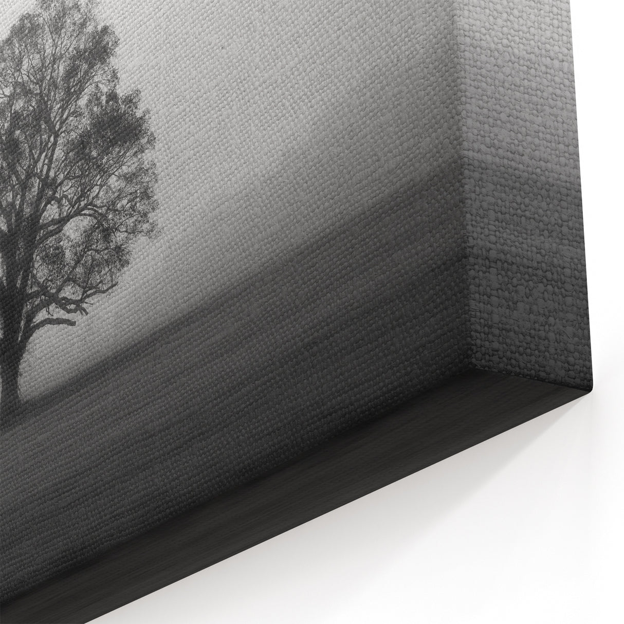 Solitary Tree in Fog Art - Serene Black and White Landscape Wall Decor