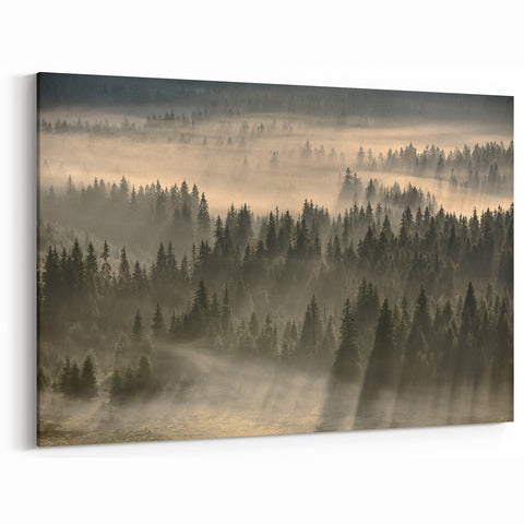 Misty Forest Sunrise Art - Serene Tree Canopy Canvas for Tranquil Decor
