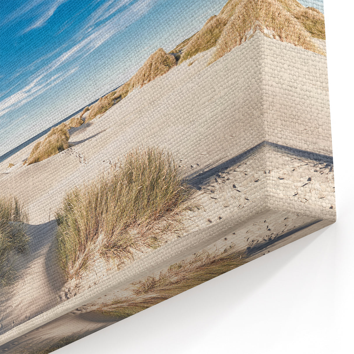 Sunny Coastal Dunes Canvas Art - Beach Landscape Wall Decor