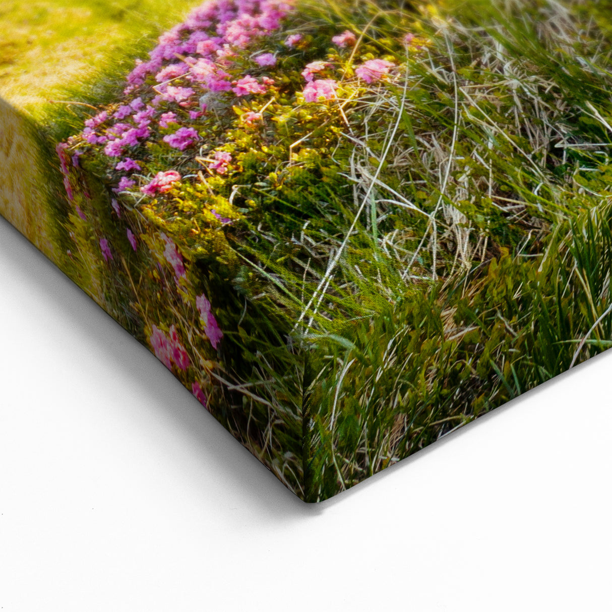 Sunrise Over Mountain Meadow Canvas Art - Vibrant Nature Landscape Decor