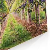 Vineyard Wall Art - Scenic Vineyard Canvas Print for Wine Country Decor
