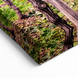 Vineyard Wall Art - Scenic Vineyard Canvas Print for Wine Country Decor
