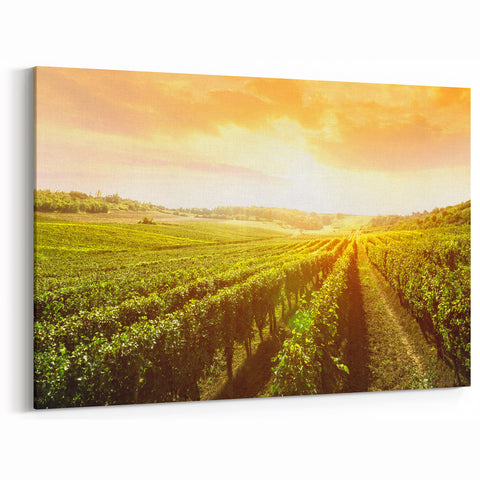 Vineyard Rolled Canvas - Golden Vineyard Wall Art for Wine Lovers