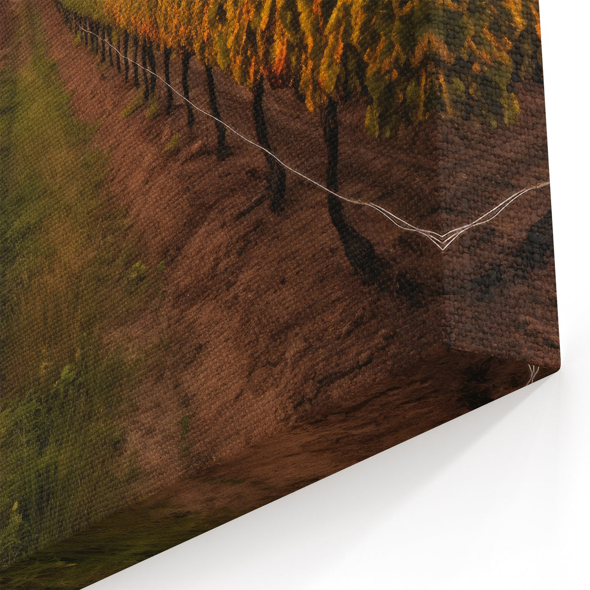 Framed Vineyard Art - Sunset Vineyard Canvas Print for Wine Decor