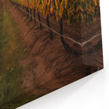 Framed Vineyard Art - Sunset Vineyard Canvas Print for Wine Decor