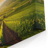 Vineyard Wall Art - Scenic Vineyard Canvas Print for Elegant Home Decor