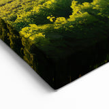 Vineyard Wall Art - Scenic Vineyard Canvas Print for Elegant Home Decor