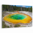 Vivid Hot Spring Canvas Print - Colorful Nature Hot Spring Wall Art