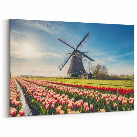 Colorful Windmill Wall Art - Tulip Field Canvas Print for Home Decor
