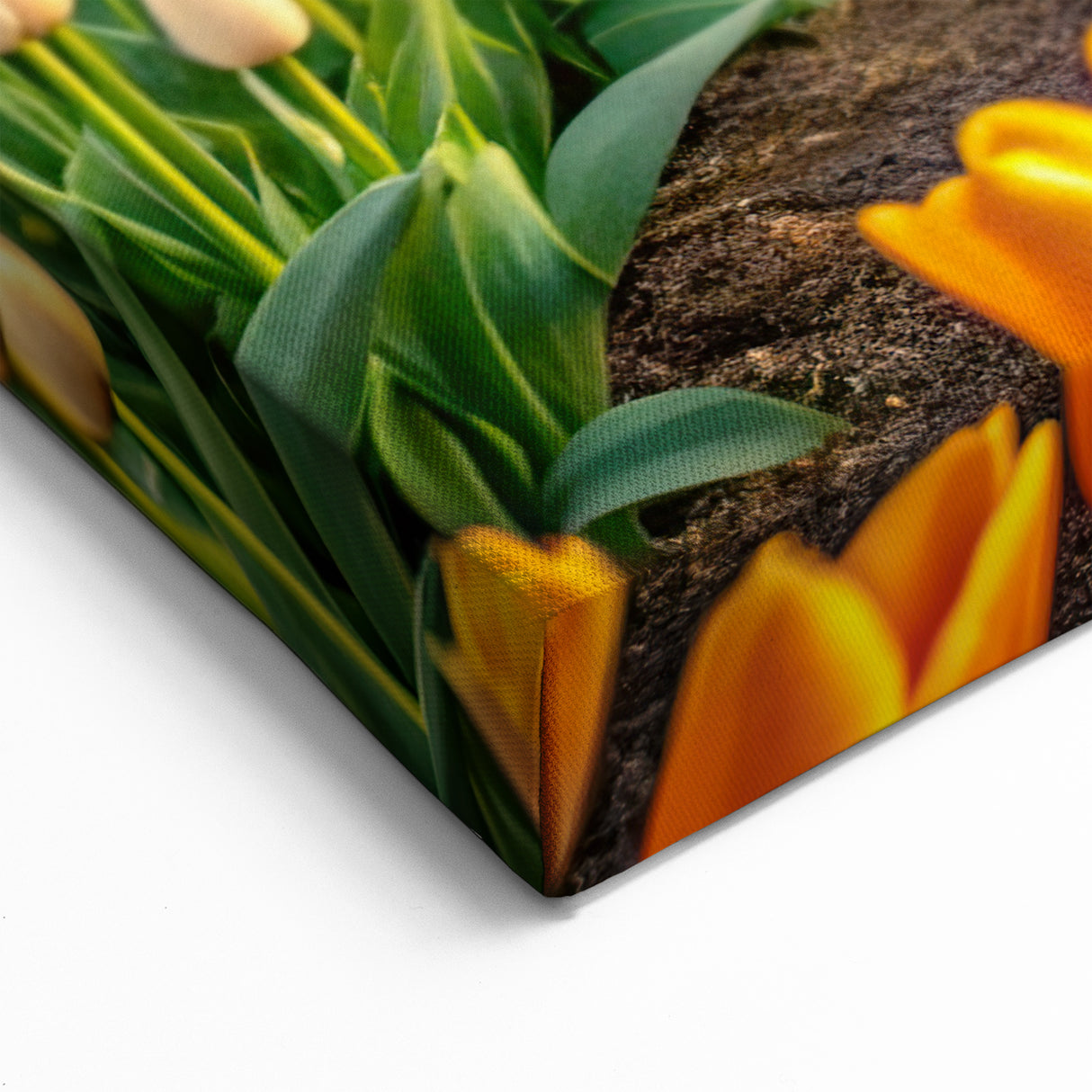 Colorful Tulip Field and Windmill Wall Art - Vibrant Dutch Canvas Print