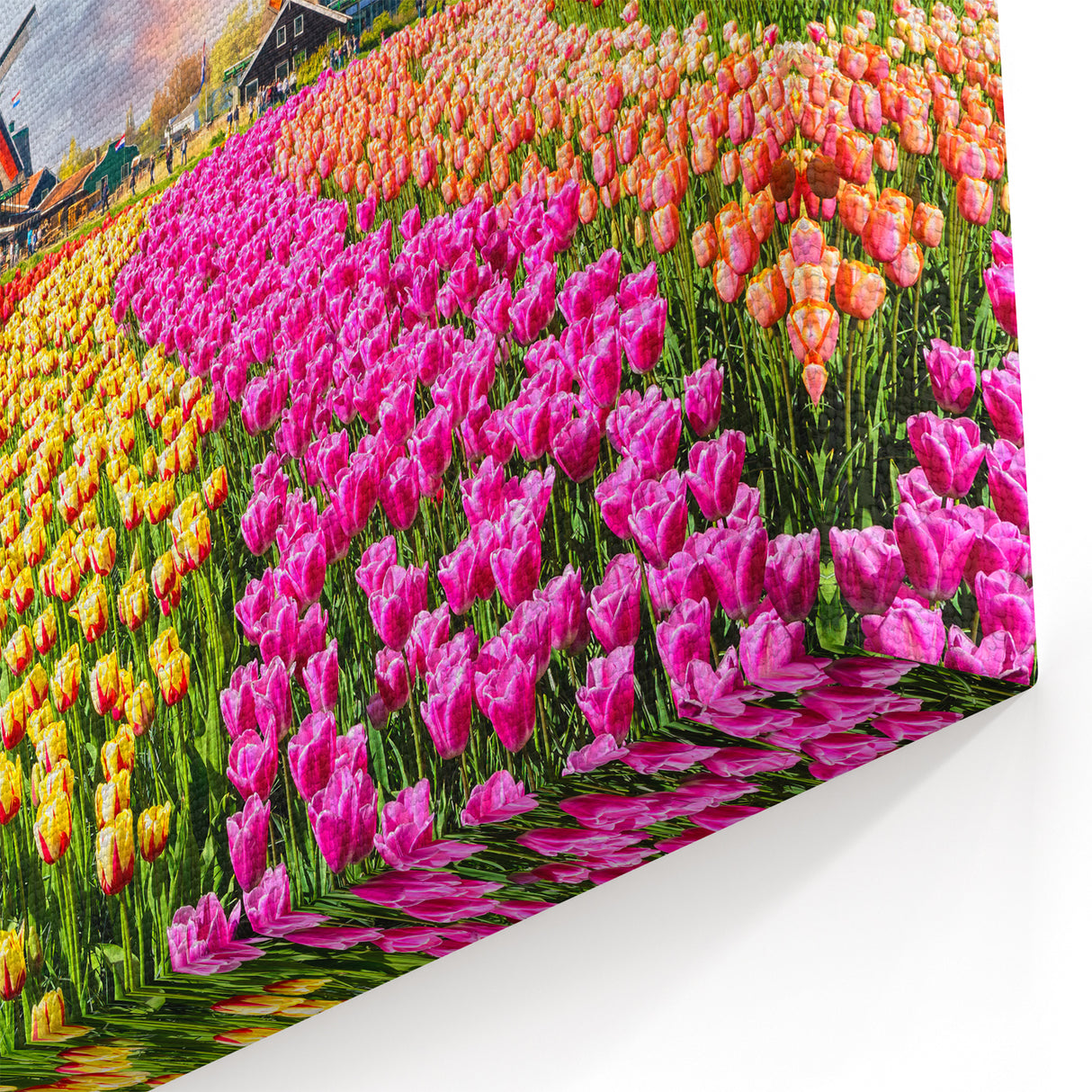 Lively Windmills & Tulips Art - Colorful Dutch Landscape Print