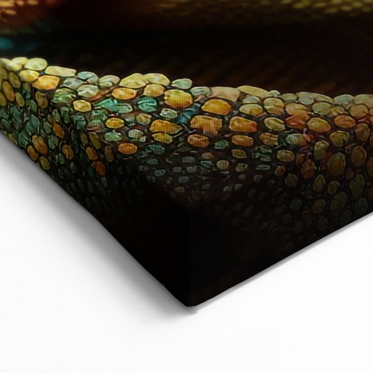Detailed Chameleon Close Up Wall Art - Wildlife Reptile Canvas Print