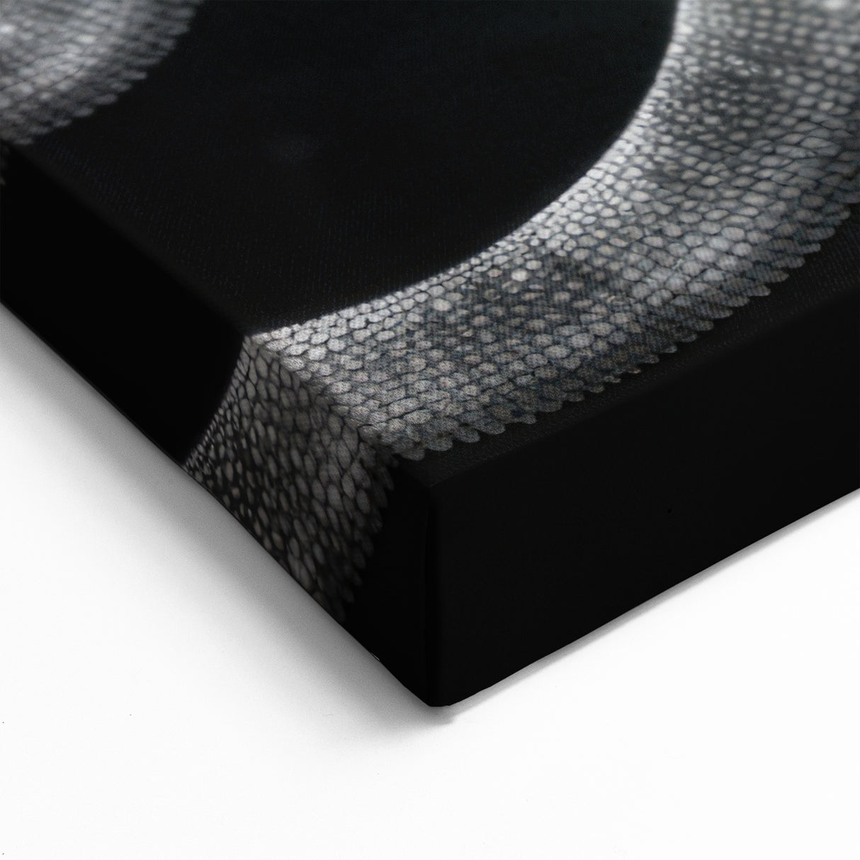 Monochrome Chameleon Wall Art - Black and White Reptile Canvas Print