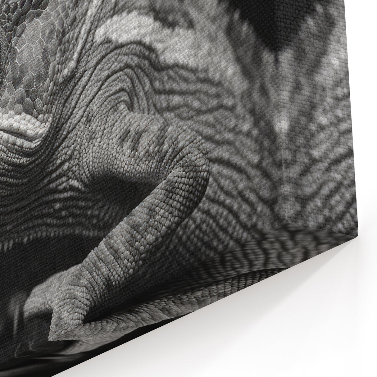 Dramatic Chameleon Close Up Wall Art - Black and White Canvas Print