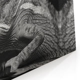 Dramatic Chameleon Close Up Wall Art - Black and White Canvas Print