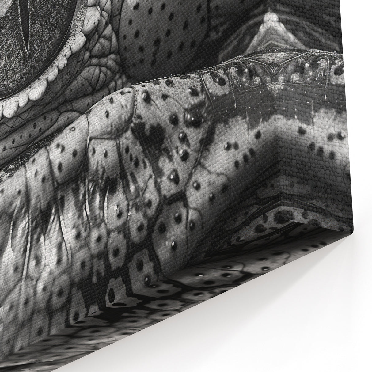 Crocodile Eye Close-Up - Gator Wall Art for Wildlife Decor