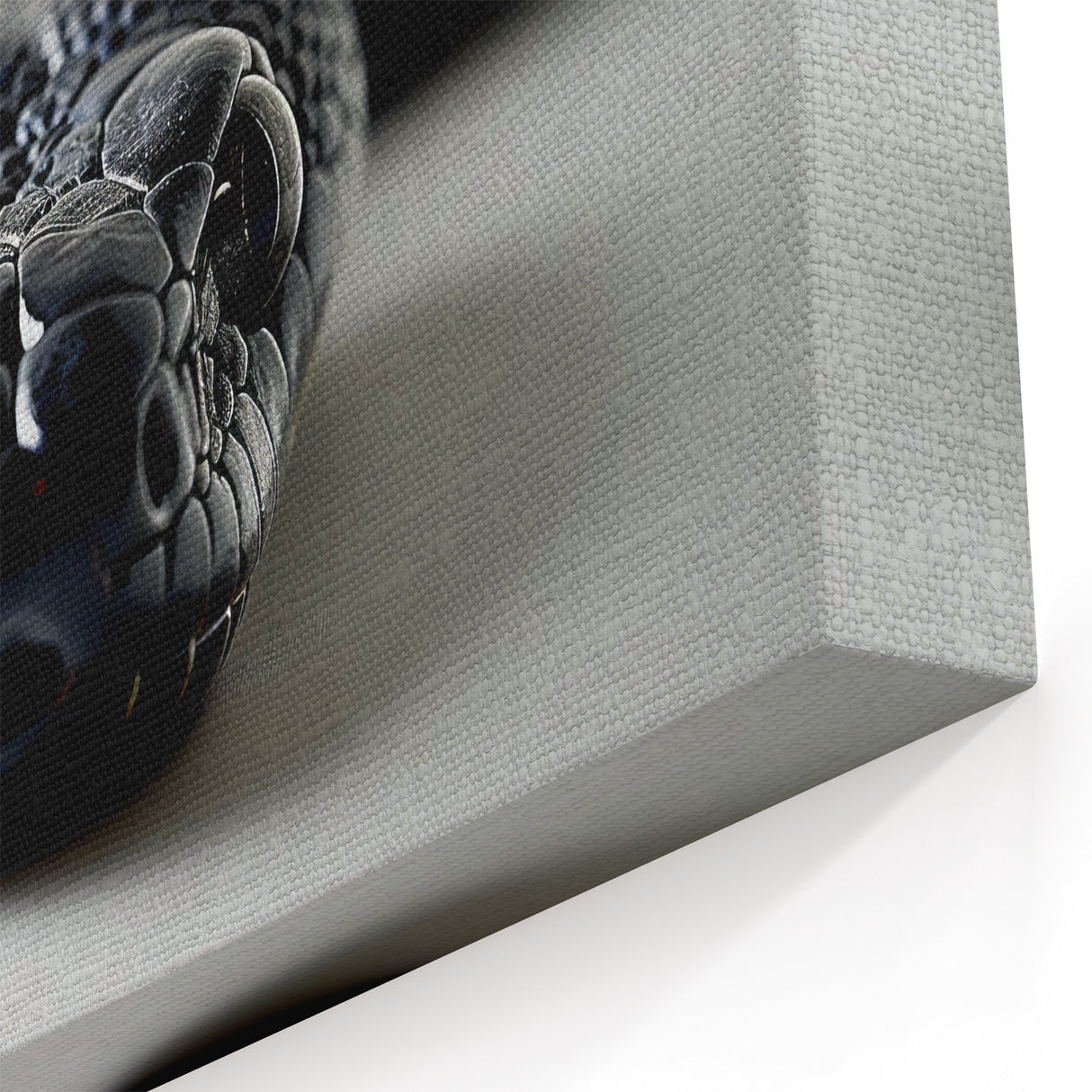 Elegant Black Snake Wall Art - Serpent Canvas Print for Wildlife Decor