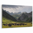 Mountain Valley Landscape Wall Art - Cattle Grazing Scenic Canvas