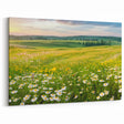 Sunlit Meadow Valley Wall Art - Peaceful Daisy Field Landscape Print