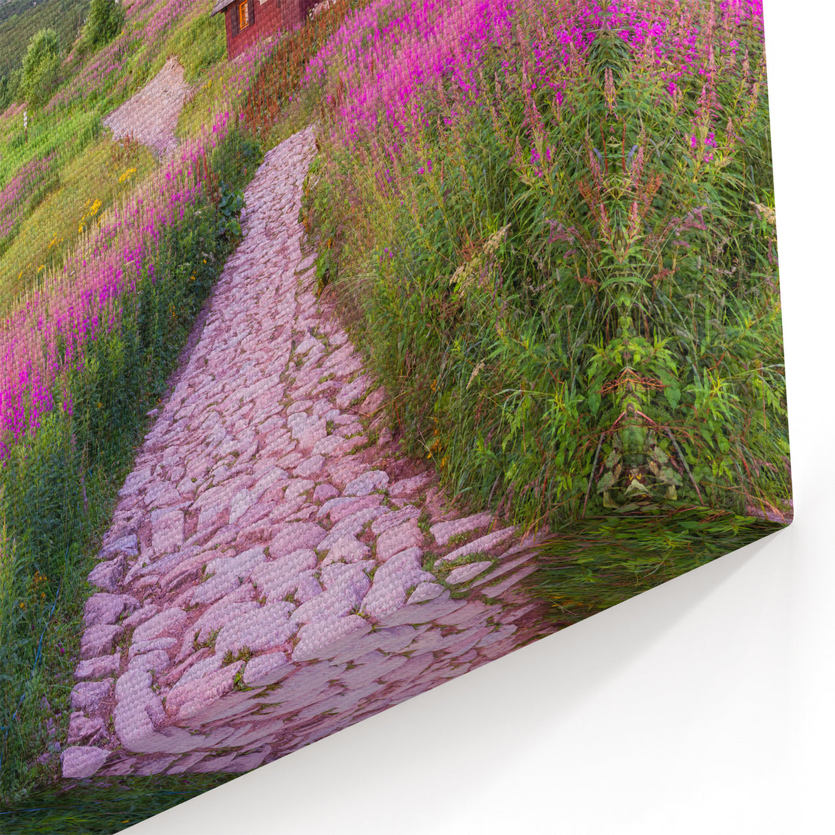 Mountain Meadow Village Wall Art - Scenic Valley Landscape Canvas Print