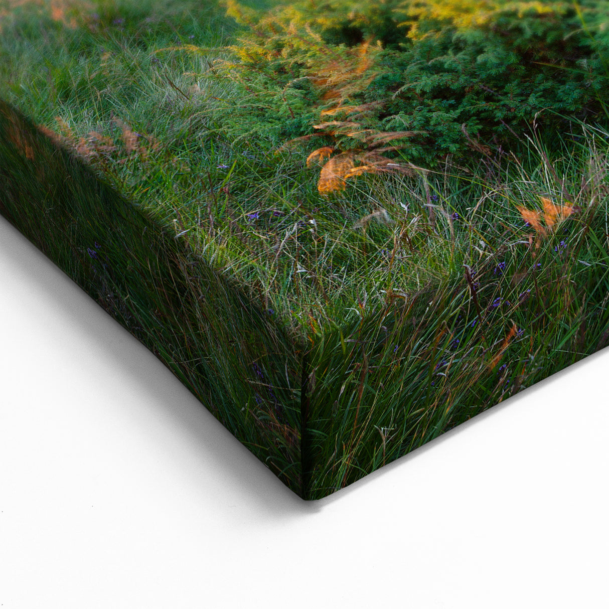 Radiant Sunrise Valley Wall Art - Vibrant Mountain Landscape Print