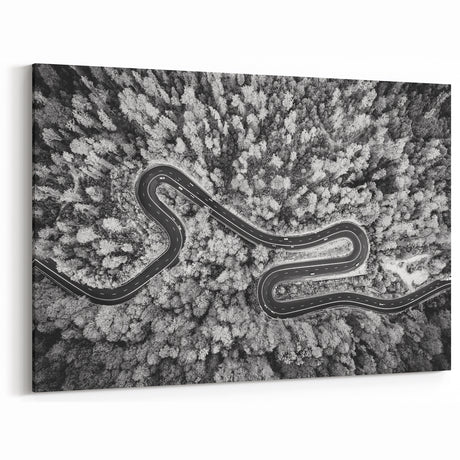 Black and White Forest Road Wall Art - Aerial Curved Pathway Print