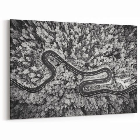 Black and White Forest Road Wall Art - Aerial Curved Pathway Print