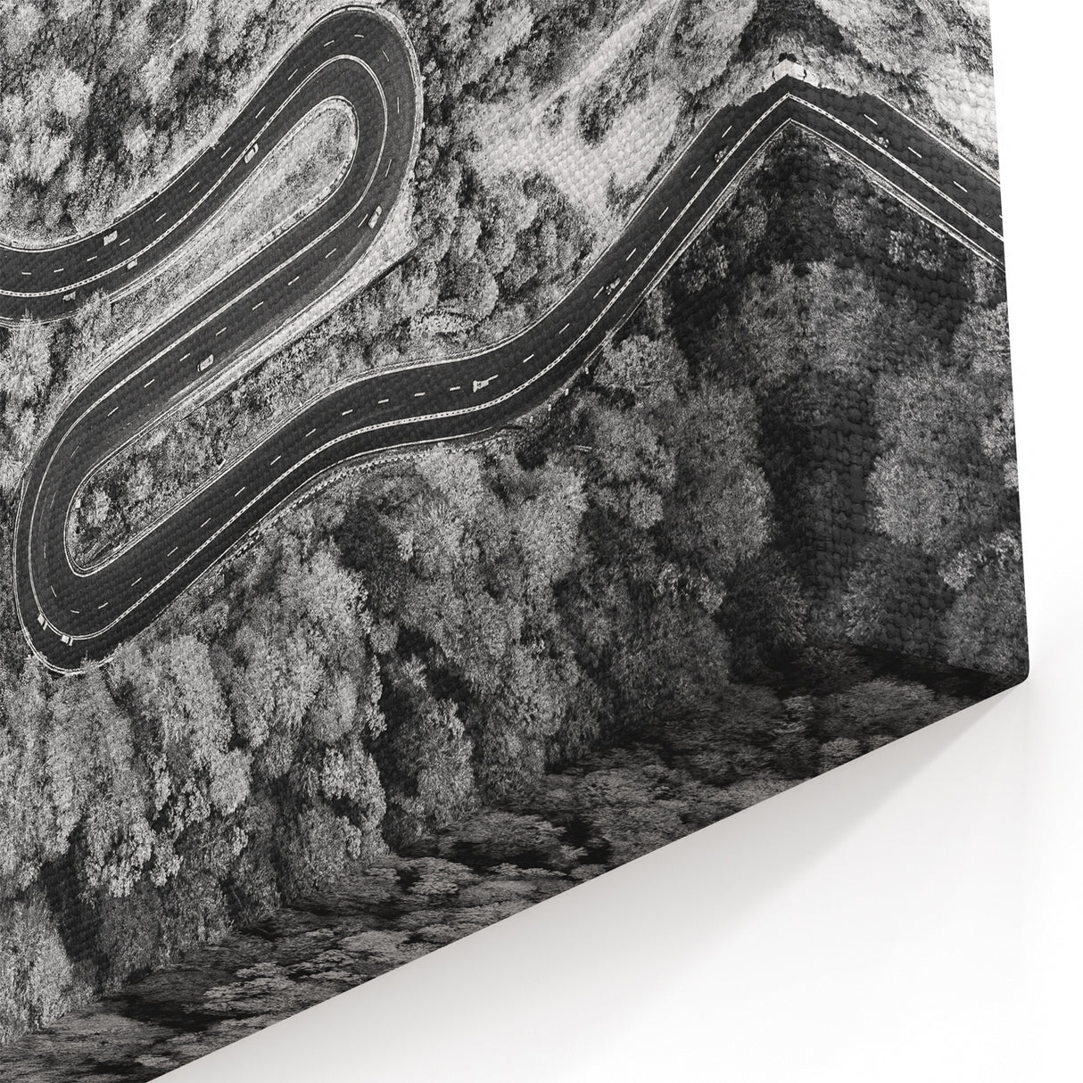 Black and White Forest Road Wall Art - Aerial Curved Pathway Print