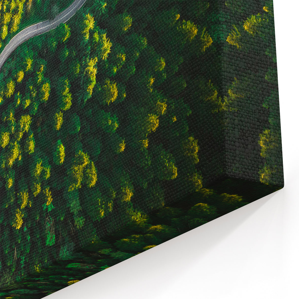 Golden Forest Road Wall Art - Aerial Scenic Pathway Landscape Print