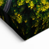 Golden Forest Road Wall Art - Aerial Scenic Pathway Landscape Print