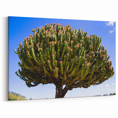Majestic Ethiopian Cactus Tree - Vibrant African Nature Art Print