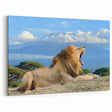 Majestic Kenyan Lion with Kilimanjaro - African Wildlife Wall Art
