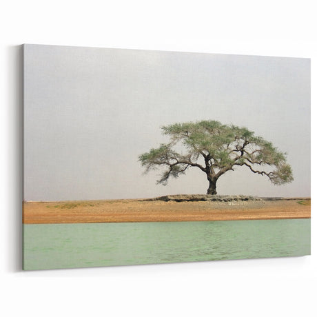 Solitary Tree by the River - Mali Landscape Prints