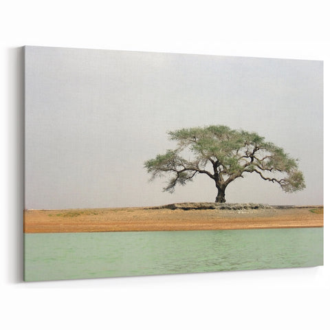 Solitary Tree by the River - Mali Landscape Prints