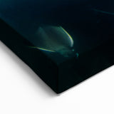 Baja California Sur Wall Art: Underwater Rays in the Gulf of California