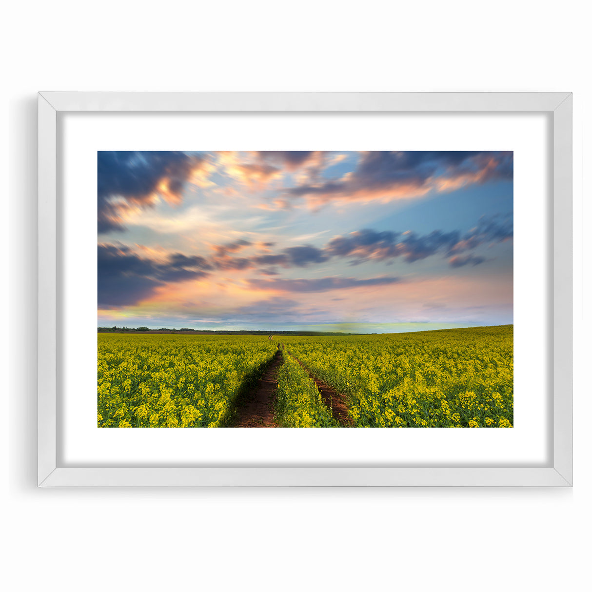 Golden Fields at Dusk - Tranquil Bangladeshi Countryside Wall Art