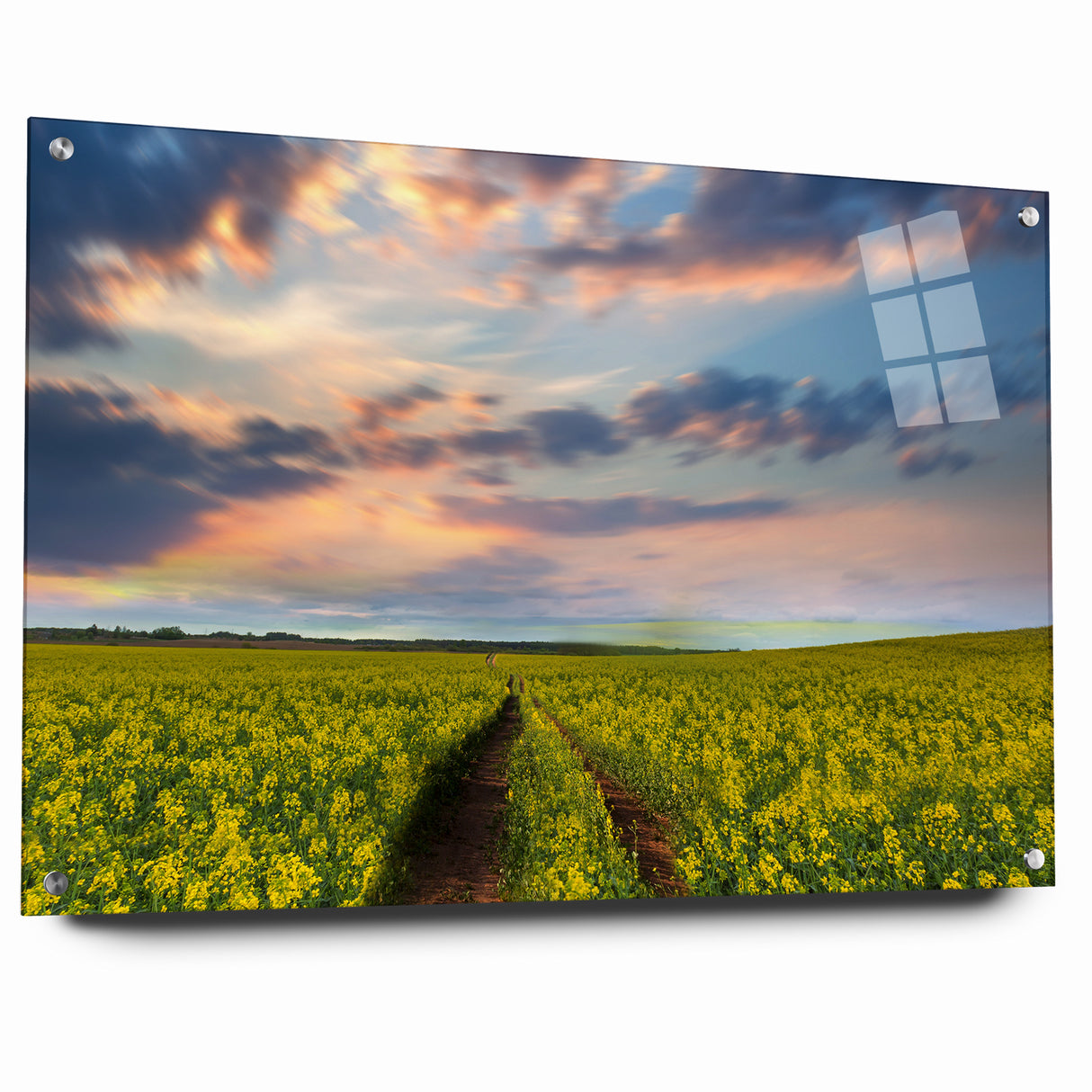 Golden Fields at Dusk - Tranquil Bangladeshi Countryside Wall Art