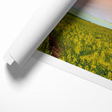 Golden Fields at Dusk - Tranquil Bangladeshi Countryside Wall Art