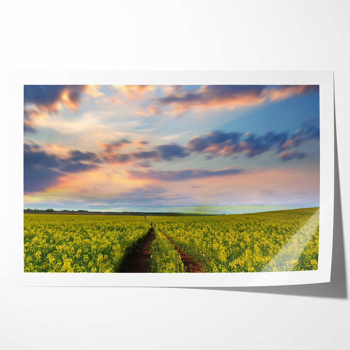 Golden Fields at Dusk - Tranquil Bangladeshi Countryside Wall Art