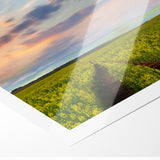 Golden Fields at Dusk - Tranquil Bangladeshi Countryside Wall Art