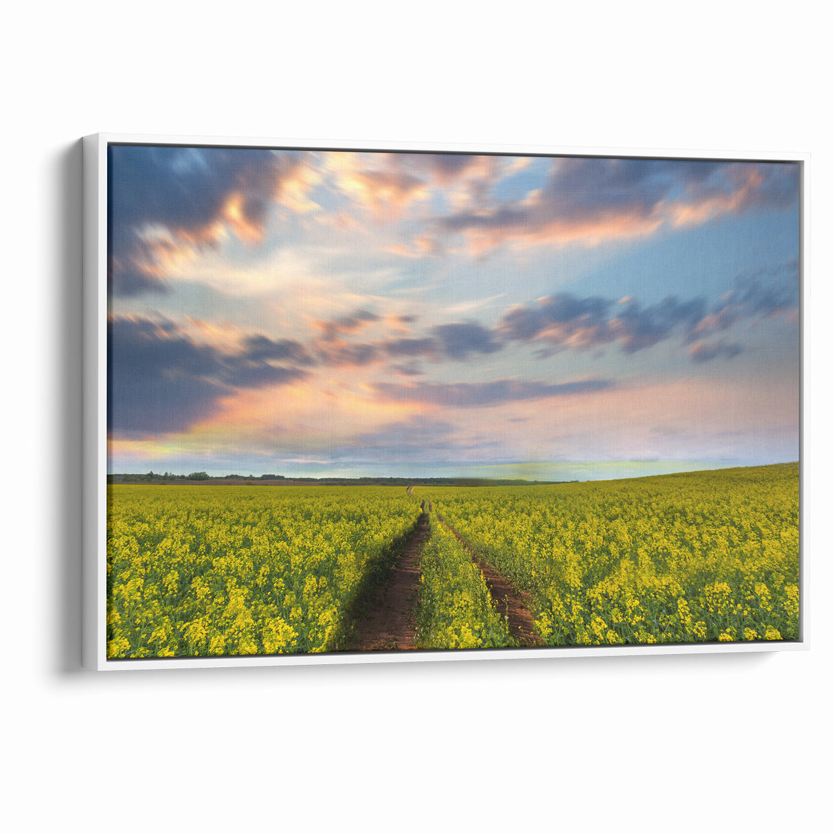 Golden Fields at Dusk - Tranquil Bangladeshi Countryside Wall Art