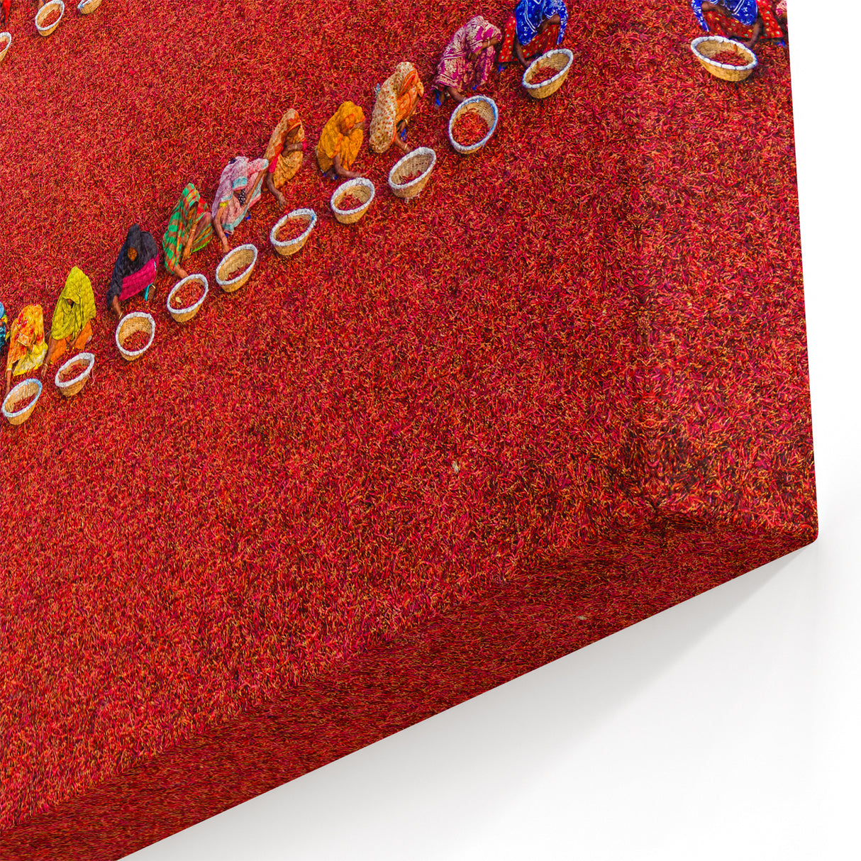 Vibrant Bangladesh Chili Harvest - Colorful Cultural Canvas Wall Art