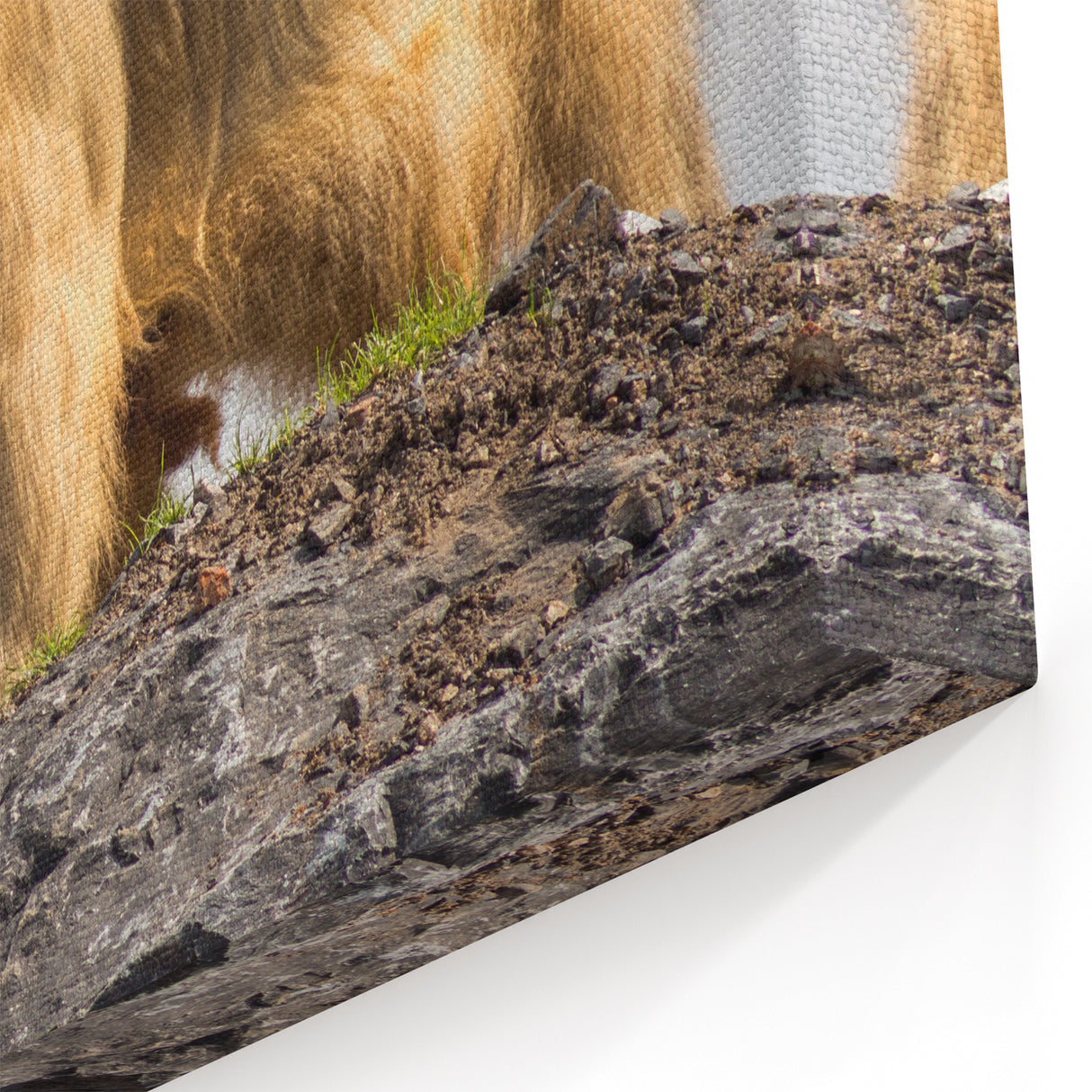 Majestic Bhutan Takin Wall Art - Bhutan Scenic Prints for Home Decor