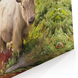 Serene Bhutan Yak Art - Bhutan Scenic Landscape Prints for Home Decor